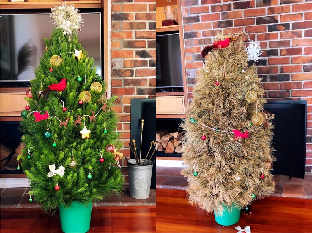 Oliver Ren's Christmas tree before he went to Wuhan and after he came back. The family was only able to come back home after about 100 days in lockdown and quarantine.