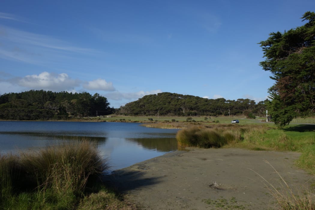 Lake Ngatu now discoloured by run off from nearby kauri mining.