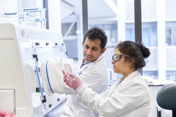 Liggins Institute researchers working in the lab that's undertaking studies into FMTs.