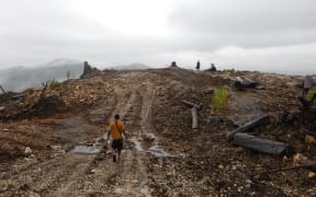 A logging area in Bairaman, East New Britain, PNG