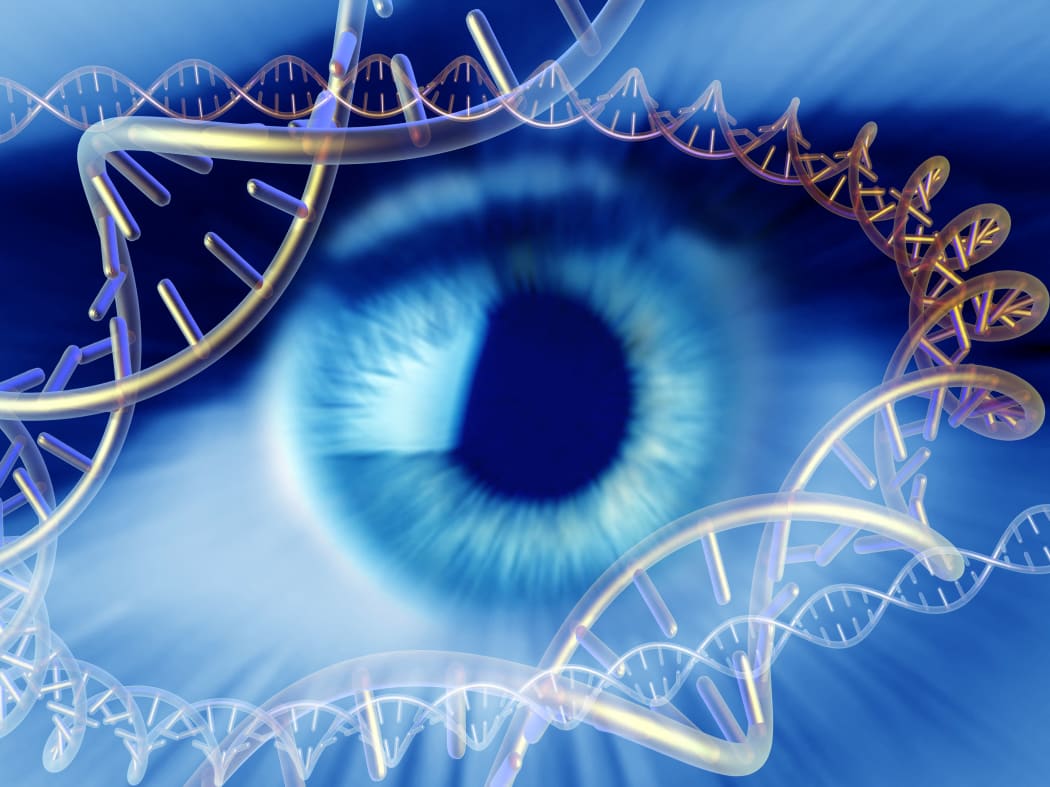 MODEL RELEASED. Genetics research, conceptual computer artwork. Human eye surrounded by molecules of DNA (deoxyribonucleic acid). (Photo by PASIEKA / APA / Science Photo Library via AFP)