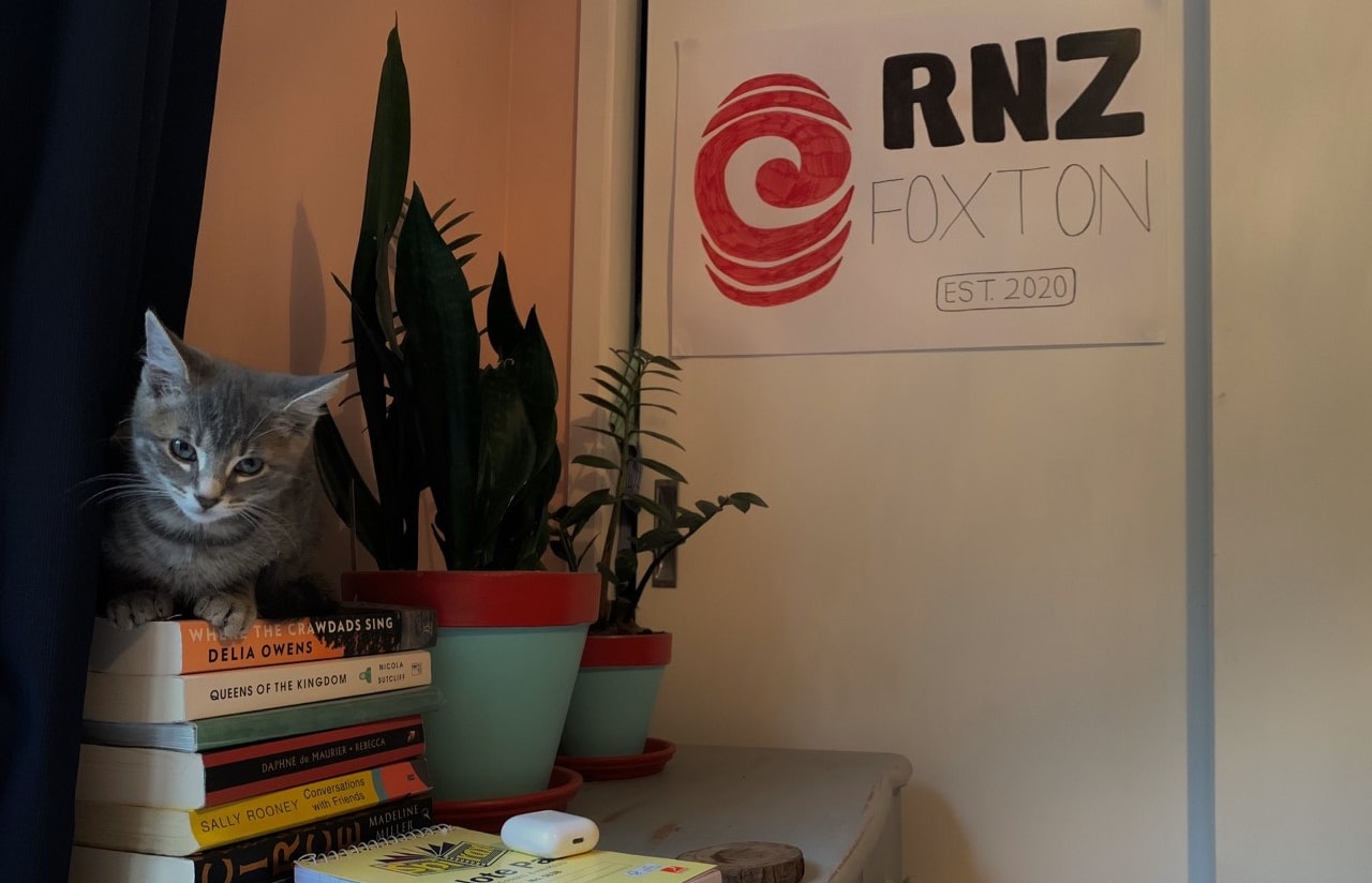 Max the kitty, Bureau Chief at Foxton RNZ