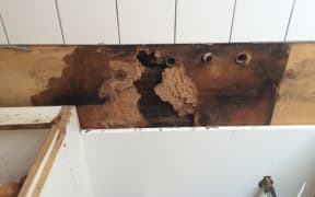 Mould and rot in Kate Day’s kitchen.