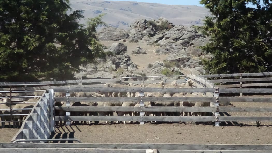 Drought has been declared in Otago and Southland.