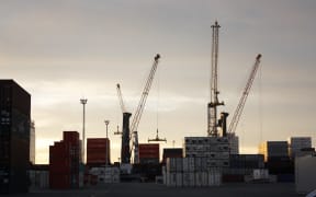 Napier port has seen an increase in imports and exports since the 14 November earthquake forced Wellington's port to close.