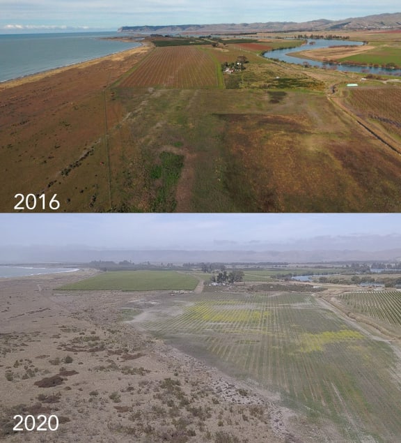 Iwi member Keelan Walker believes these photos show a vineyard has been established on the wahi tapū known as Kowhai Pā.