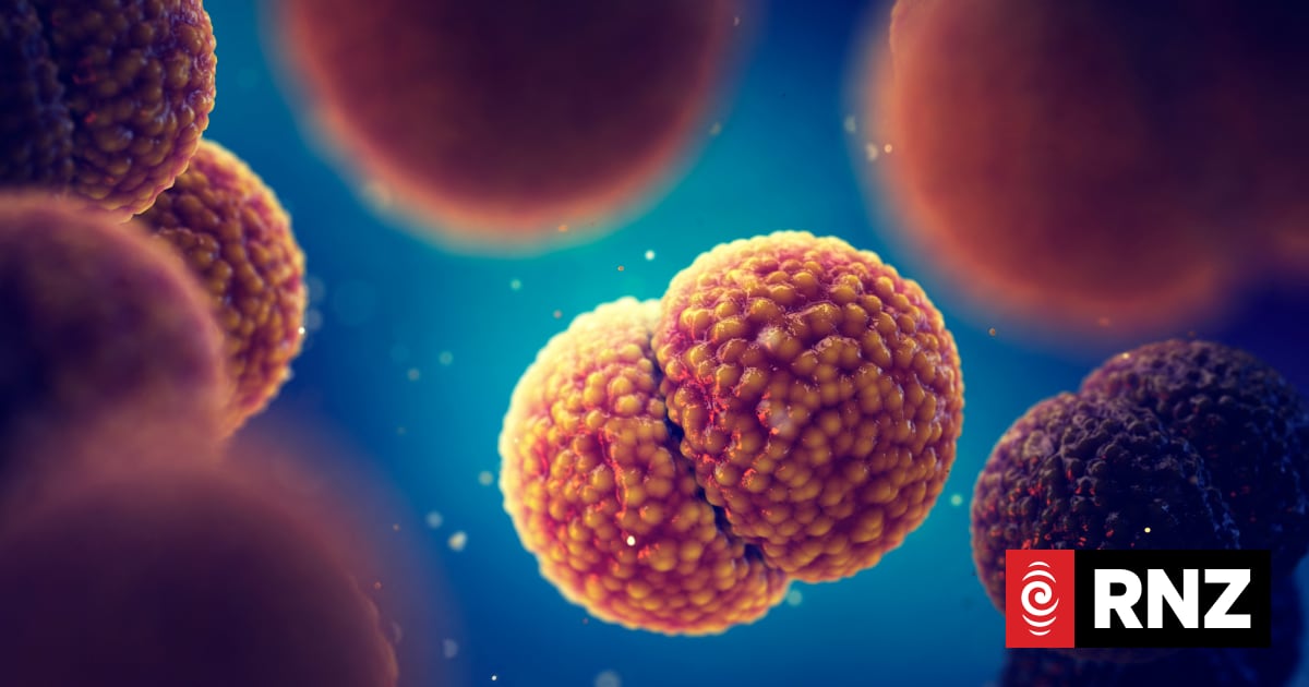 Explainer: What is meningococcal disease and how dangerous is it?