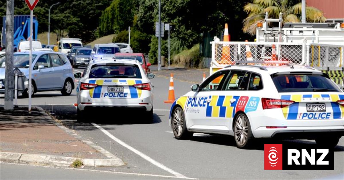 Man dead after being hit by truck in Auckland's Parnell | RNZ