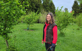 Alison Bentley about to get rid of the suckers on her hazelnut trees, planted as part of a trial
