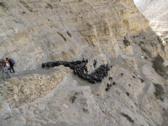 4rgw77u gallery image 858