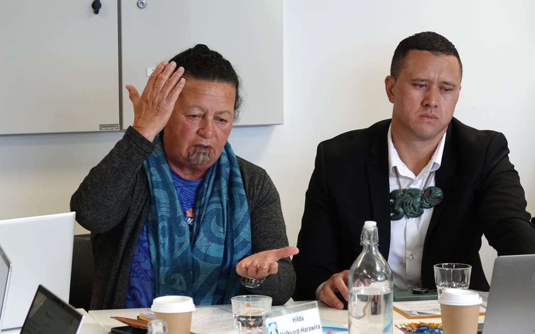 Māori ward councillors Hilda Halkyard-Harawira and Tāmati Rākena. Photo: Peter de Graaf / RNZ