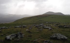 The 30-metre testing tower visible in the middle distance is on the site for one of the proposed wind turbines. The Blueskin Energy Project has been measuring wind speeds at the site since May 2011 to be sure that the wind supply is enough to generate good amounts of power.