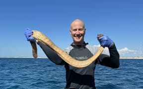 Professor Bryan Fry with an Olive Sea Snake