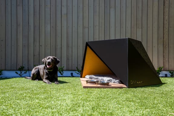 Dog house cheap noise cancelling