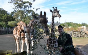 Auckland Zoo Pridelands team leader Tommy Karlsson