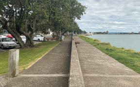 The floodwall which runs down the middle of the riverbank walkway on Whakatāne's Quay Street may be moved to the landward side and raised up to 850 mm.