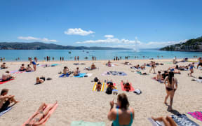 oriental parade wellington nz-1