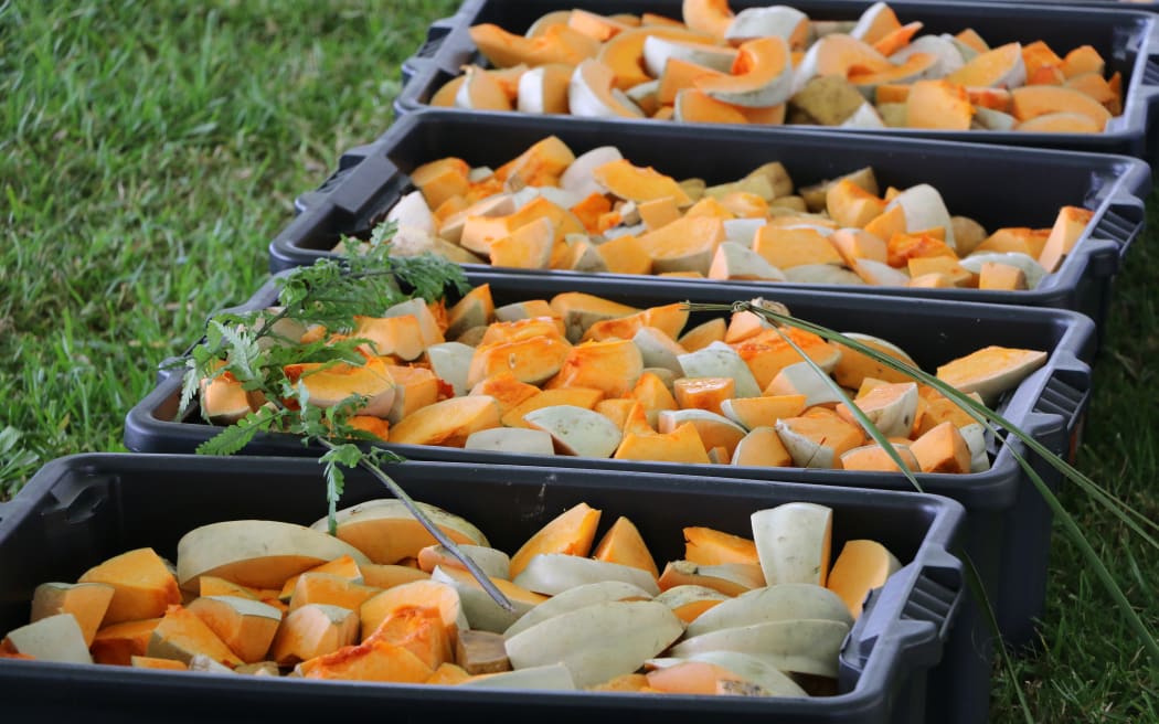 Three tonnes of vegetables were prepared for the 10,000 strong hāngī at the reopening of the whare tūpuna at Te Tii Marae.