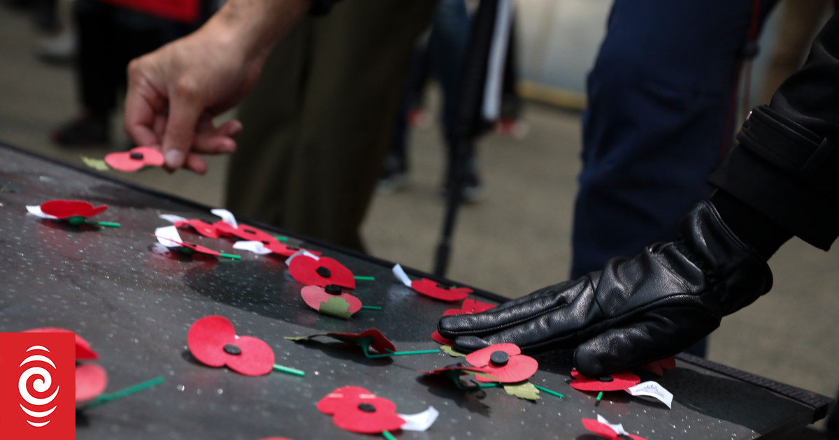Anzac Day: Veterans not getting support they need,