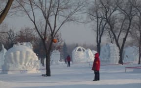 Ice sculpture
