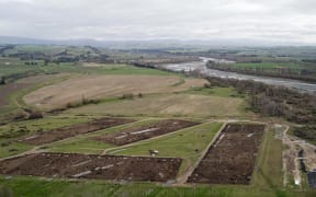 Feedlot in Maraekakaho.