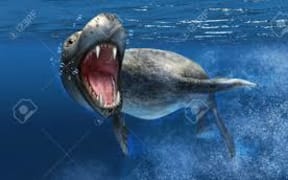 leopard seal
