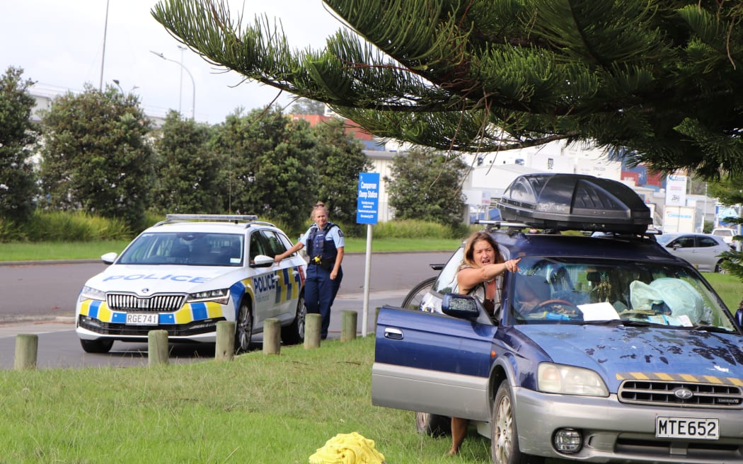 Horse Attacked on Beach, Dog Impounded and Euthanised — image 5