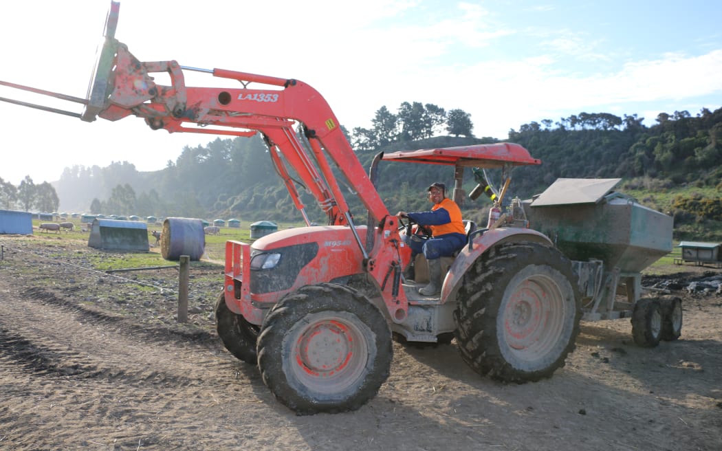 free range pig farm