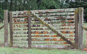 Fence