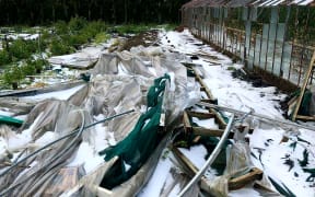 Debris was flung over a glasshouse in Motueka and the neighbour's property as a twister moved through the area, after which hail hit as well.