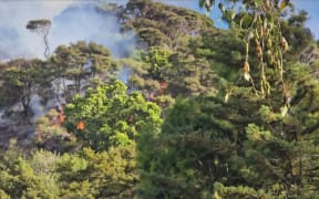 Fire crews are responding to a bush fire near Te Aute Ridge Road and Bethells road in Waitākere.