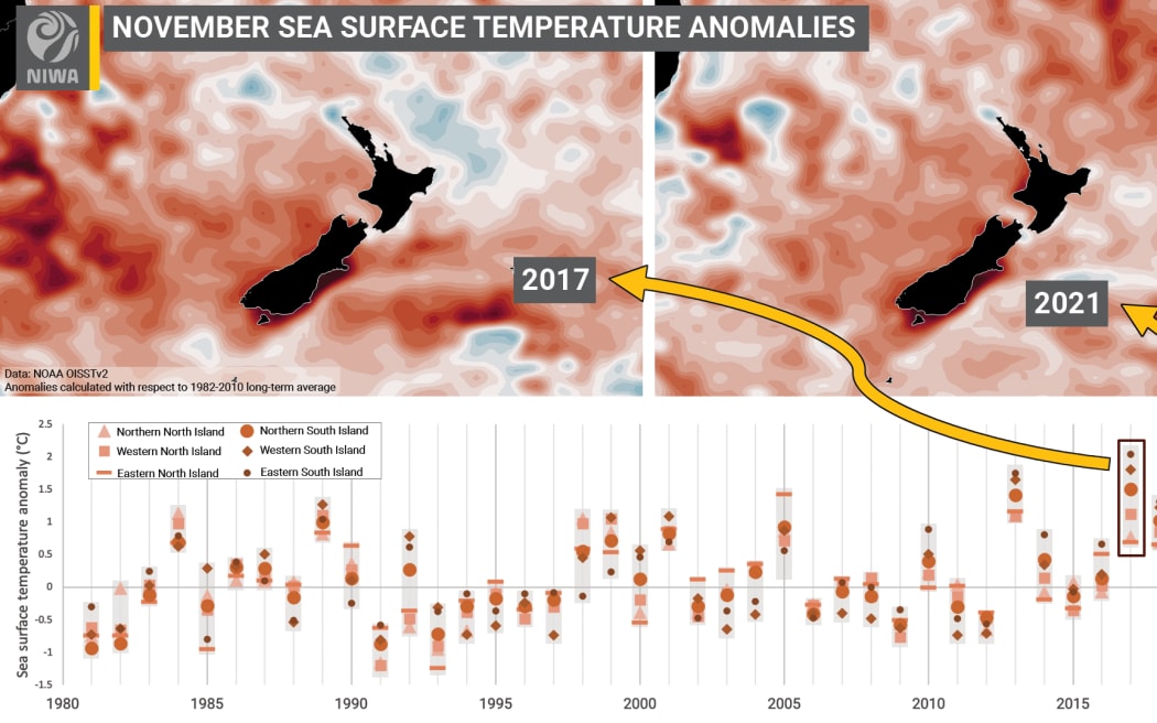 November marine heatwave