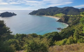 Great Barrier Island