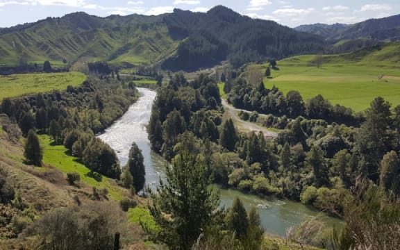 Whanganui River, just south of Taumarunui.