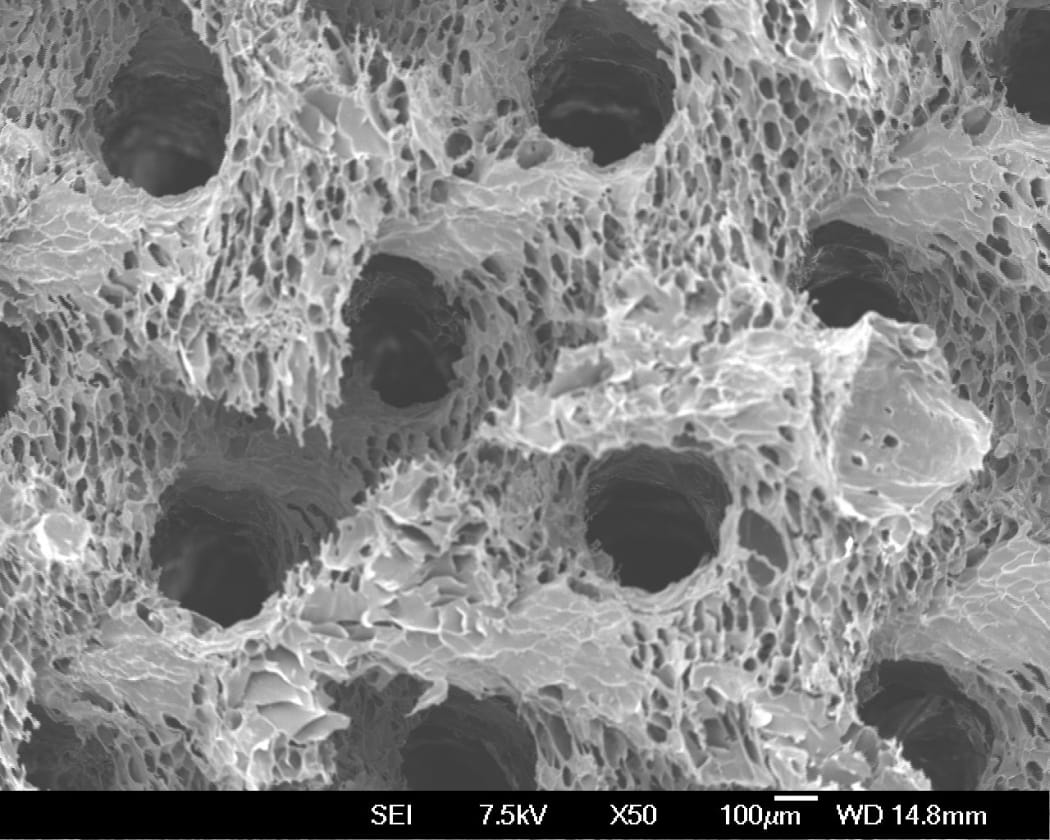 3D printed porous shape made from cellulose. Engineers hope that porous 3D-printed structures such as this will be the key to new ways of treating wastewater.
The creator of this structure is Sean Feast.