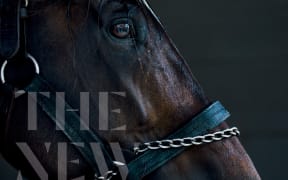 The New Zealand Horse by Deborah Coddington and Jane Ussher