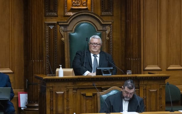Flurry of mishaps puts spotlight on Parliament's culture | RNZ