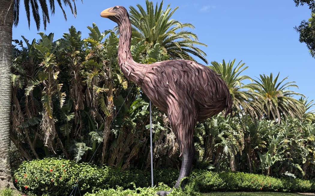 A moa lantern will be unveiled at the Lantern Festival in Auckland this year.