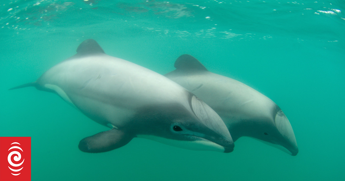 4OS9CEZ_copyright_image_76767?