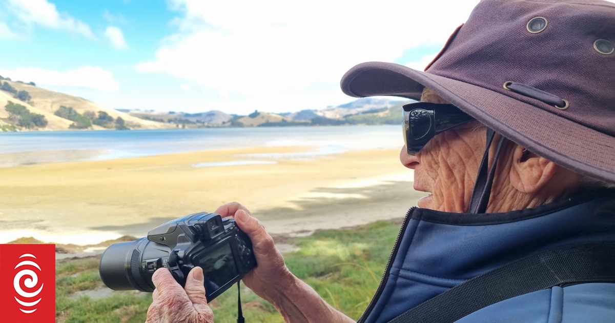 Going sea lion spotting with Ōtepoti's intrepid scout | RNZ