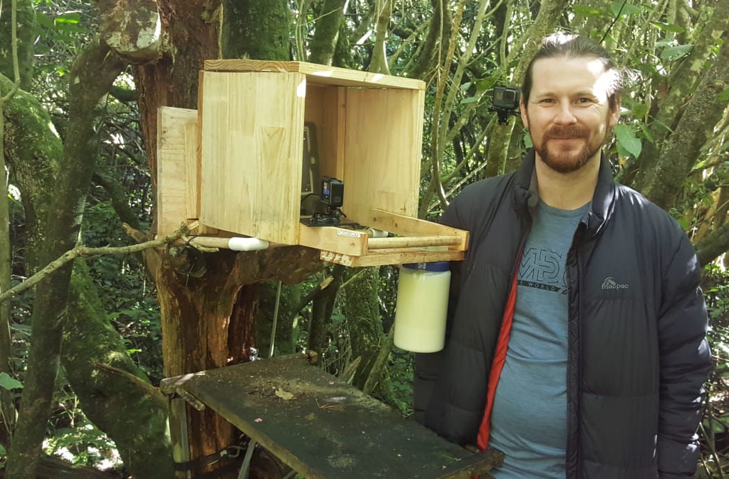Daniel Donoghue next to his 'drop-in' kākā feeding station at Zealandia.