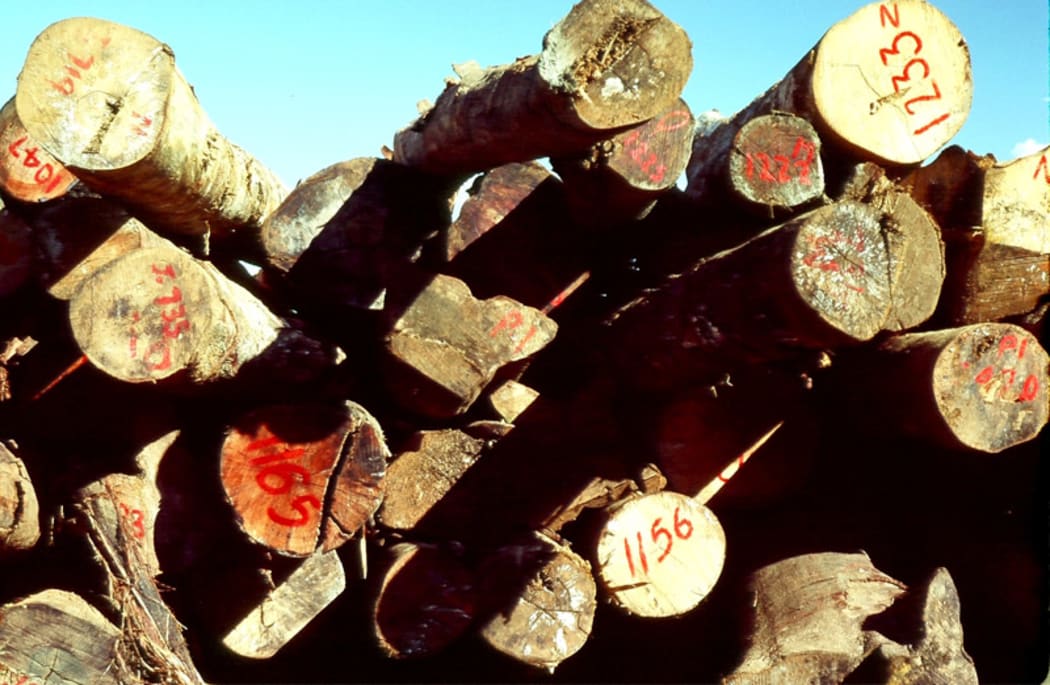 Fiji timber for export
