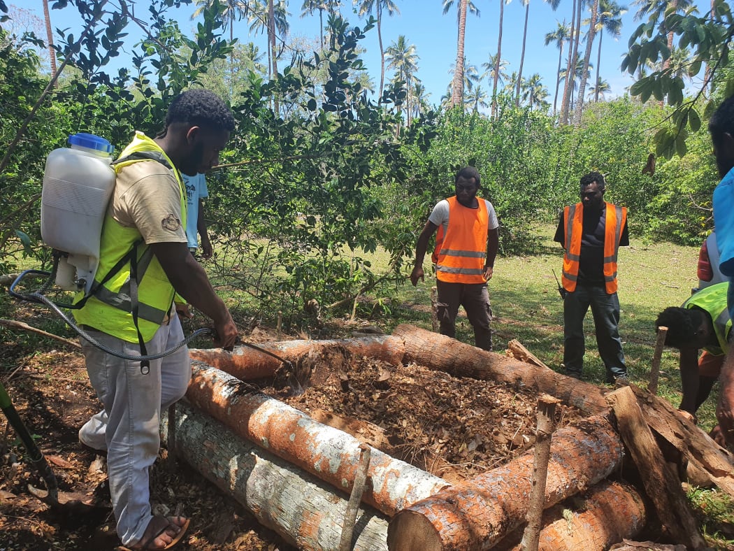 Spraying for the CRB in Vanuatu