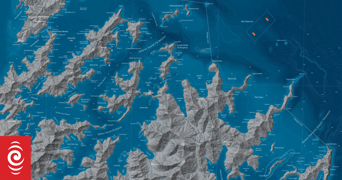 Open ocean salmon farm for Cook Strait given green light - Vimarsana News