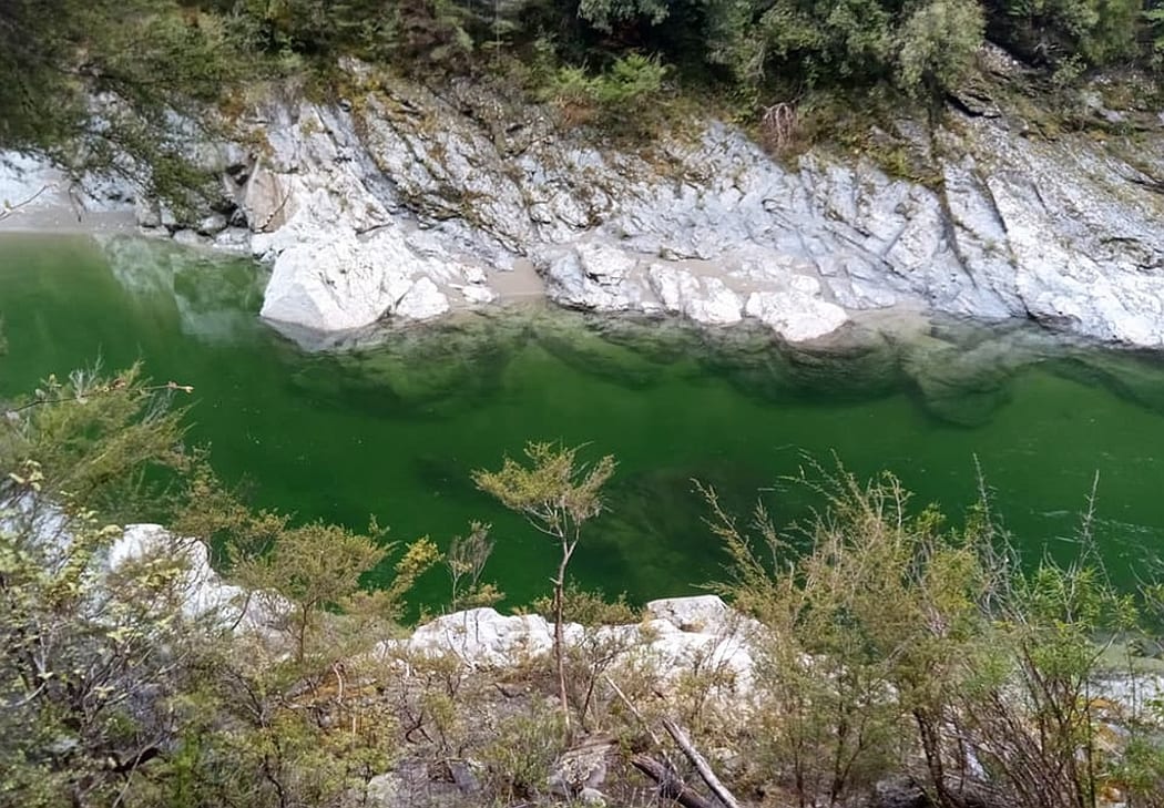 Pelorus River.