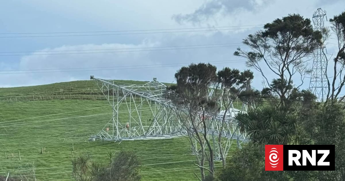 Transpower pylon collapse: High Court hears call for class action after Northland power outage