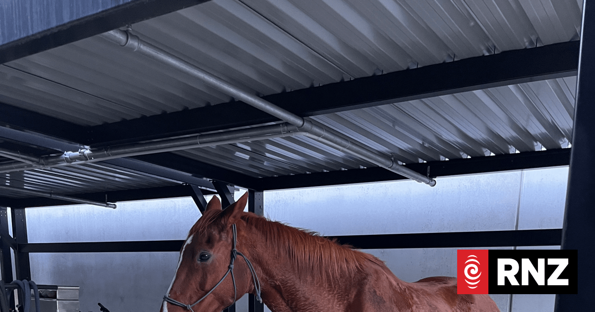 Giddy up: Police officer opts for horsepower to get to work