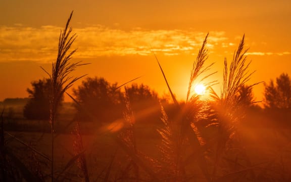 View of a park close to Nijmegen, The Netherlands on August 8, 2020 during the heatwave.