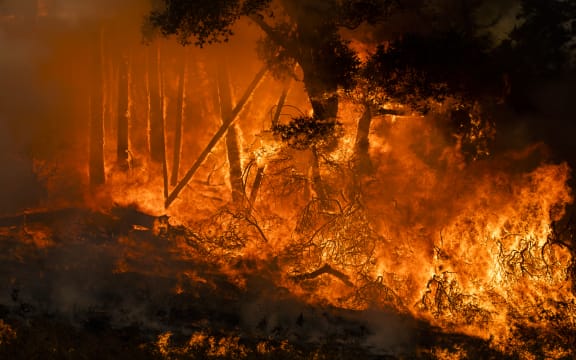 Fire burns along a hillside during firefighting operations to battle the Kincade Fire in Healdsburg, California on 26 October, 2019.