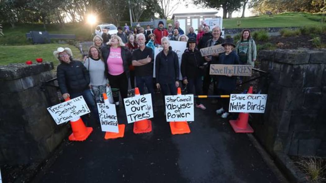 30 people have gathered to block the entrance to Mt Albert in an effort to save trees.